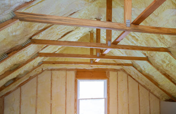 Best Spray Foam Insulation  in Rosebud, SD
